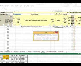 Duomenų įvedimas į užsakymų iš tiekejų analizės ir kontrolės Excel modulį.