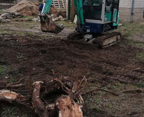 Mini ekskavatoriaus nuoma - Mini ekskavatorius ir Bobcat - 1