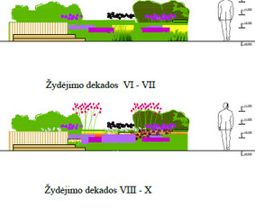 Aplinkos projektai, želdinių dizainas, konsultacijos / Julita / Darbų pavyzdys ID 1158547
