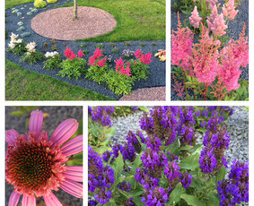 Aplinkos projektai, želdinių dizainas, konsultacijos / Julita / Darbų pavyzdys ID 1158551