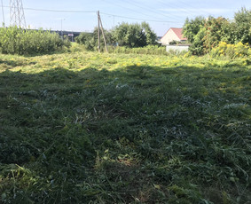 Žolės pjovimas,žemės frezavimas,mulciavimas / Arturas / Darbų pavyzdys ID 1162297