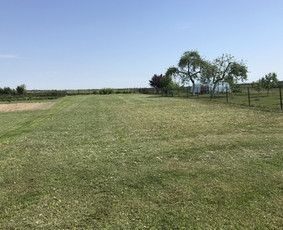Žolės pjovimas,žemės frezavimas,mulciavimas / Arturas / Darbų pavyzdys ID 1162305