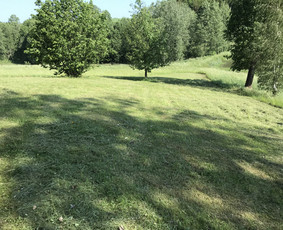 Žolės pjovimas,žemės frezavimas,mulciavimas / Arturas / Darbų pavyzdys ID 1162307