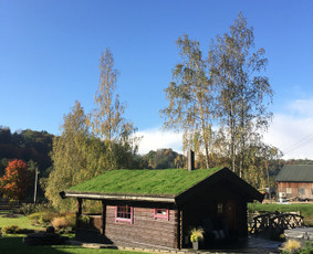 Apželdinimo darbai, laistymo sistemos įrengimas / Žydi sodai / Aušra / Darbų pavyzdys ID 1164089