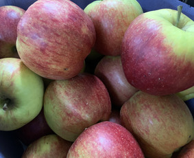 Vaisai darzoves kava bakaleja i namus ofisus kavines - Prekyba - 3 Prekyba - Vaisai darzoves kava bakaleja i namus ofisus kavines - 3