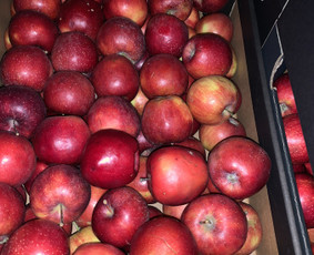 Vaisai darzoves kava bakaleja i namus ofisus kavines - Prekyba - 2 Prekyba - Vaisai darzoves kava bakaleja i namus ofisus kavines - 2