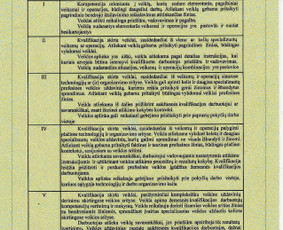 Šiltinimas pučiama vata Knauf Supafil, Ekowool, Steico . / UAB Solterma / Darbų pavyzdys ID 1176021