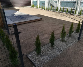 Augalų ir medelių sodinimas - Aplinkos Apželdinimas, Vejos-laistymo Sistemos Įrengimas - 4