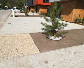 Vaismedžių sodinimas ir priežiūra - Aplinkos Apželdinimas, Vejos-laistymo Sistemos Įrengimas - 4