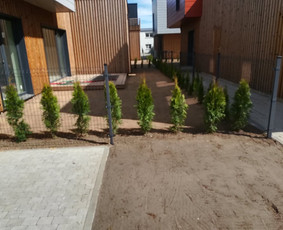 Vaismedžių sodinimas ir priežiūra - Aplinkos Apželdinimas, Vejos-laistymo Sistemos Įrengimas - 3