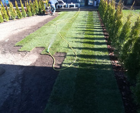 Vaismedžių sodinimas ir priežiūra - Aplinkos Apželdinimas, Vejos-laistymo Sistemos Įrengimas - 2