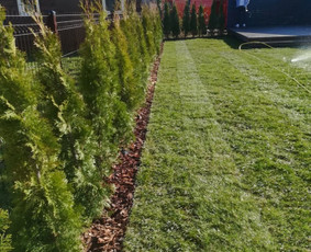 Augalų ir medelių sodinimas - Aplinkos Apželdinimas, Vejos-laistymo Sistemos Įrengimas - 3