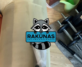 Švarūs namai – ne tik nuvalytos dulkės ir švarios grindys. Norint, kad namuose iš tiesų vyrautų švara, būtinas reguliarus minkštų baldų valymas ‼️Sofos valymas nuo 35€‼️ https...