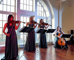 Muzikos mokytojai - Smuiko ir alto pamokos - 4