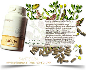 Santegra maisto papildai - Alla / Alla Nekrasova / Darbų pavyzdys ID 165469