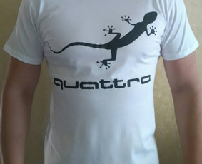 Tiesioginė spauda, 100% medvilnė, S-XXL dydžiai, 13Eur + siuntimo išlaidos, atlikus išankstinį apmokėjimą, pristatymas per 3-5d.d.