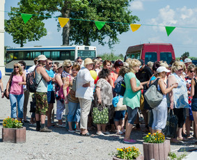 Renginių organizavimas / Renginių Vizija / Darbų pavyzdys ID 171929