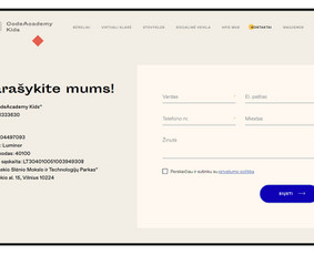 Unikalių internetinių svetainių ir el. parduotuvių kūrimas. / UAB idėja bus / Darbų pavyzdys ID 1214871