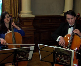 Violončelės muzika - Instrumentinė muzika renginiams - 1 Instrumentinė muzika renginiams - Violončelės muzika - 1