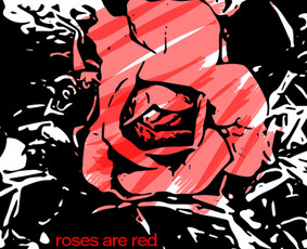 Knygos viršelio maketas