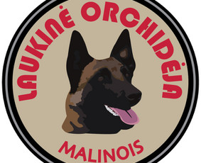 Tai Bent Grafika Jums!:) / Benita Taujanskaitė / Darbų pavyzdys ID 1227861