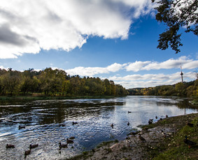 Nekilnojamo Turto Brokeris Paulius Sakalis / Paulius Sakalis / Darbų pavyzdys ID 194867