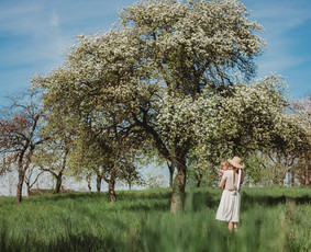 Jūsų šventės fotografijos tikros jausmingos šiltos / Švelnus Vėjas / Darbų pavyzdys ID 1243267