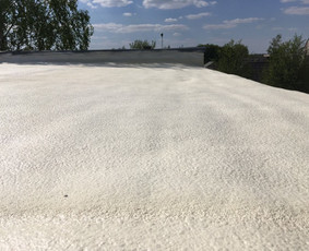 Gyvenamųjų ir pramoninių pastatų šiltinimas / UAB DELAGO / Darbų pavyzdys ID 1249839