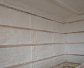 Gyvenamųjų ir pramoninių pastatų šiltinimas / UAB DELAGO / Darbų pavyzdys ID 1249865