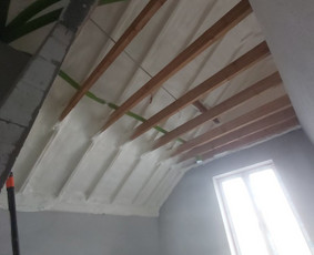 Gyvenamųjų ir pramoninių pastatų šiltinimas / UAB DELAGO / Darbų pavyzdys ID 1250285