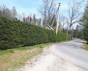 Aeravimas (skarifikavimas ) Žolės Pjovimas, / SODO DARBAI / Darbų pavyzdys ID 1260561