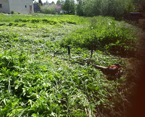 Aeravimas (skarifikavimas ) Žolės Pjovimas, / SODO DARBAI / Darbų pavyzdys ID 1260563