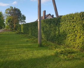 Aeravimas (skarifikavimas ) Žolės Pjovimas, / SODO DARBAI / Darbų pavyzdys ID 1260599