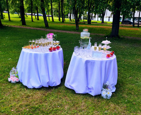 Šampano / vaišių staliuko paslauga po santuokos ceremonijos.