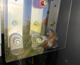 Įvadas Rangovo aktas Eso Lauko ir vidaus elektros darbai. / Pavelas / Darbų pavyzdys ID 1267021