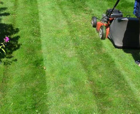 Žolės pjovimas - Žolės pjovimas. - 1