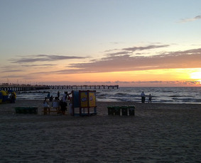 Keleivių pervežimas Lietuvoje - Keleivių pervežimai pagal poreikius su komforti&scaron;ku Camry - 2