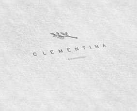 Mokinu kurti logotipus, taip pat papasakosiu apie kūrimo etapus. Mentoriaus paslaugoje papasakosiu kaip pateikti logotipų pavydžius klientui ir kaip teisingai sutvarkyti galutinius failus.