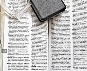 Patikimi vertimai Ru-ukr-by-pl-blg ir teksto suvedimas 24/7 / Virginija Visockiene / Darbų pavyzdys ID 1272921