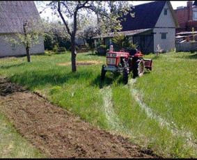 Vejos priežiūra, įrengimas - Žemės frezavimas. Augmenijos sodinimas, aplinkos tvarkymas. - 2
