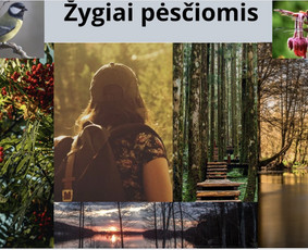 Žygiai
