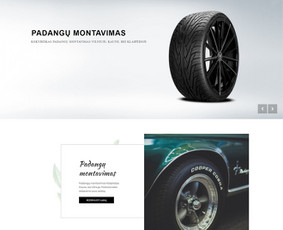 Internetinių parduotuvių kūrimas ir atnaujinimas, Seo / E-shopkurimas.lt / Darbų pavyzdys ID 1277307