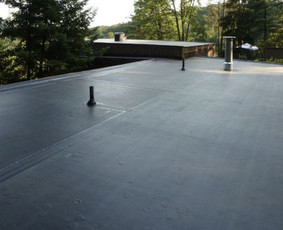 Dengiame stogus su epdm danga