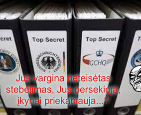 Privatus detektyvas Vilniuje, paslaugos Lietuvoje ir ne tik. / Valentinas / Darbų pavyzdys ID 229611