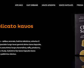Produkto aprašymo kūrimas