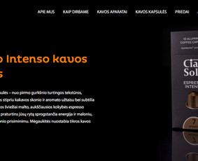 Produkto aprašymo kūrimas