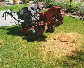 Arboristo paslaugos. Medžių pjovimas, kelmų naikinimas - Kelmų naikinimas, frezavimas - 2 Kelmų naikinimas, frezavimas - Arboristo paslaugos. Medžių pjovimas, kelmų naikinimas - 2