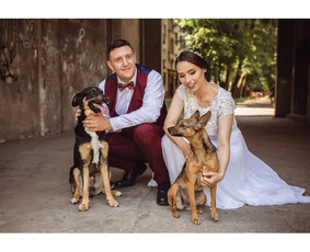 Fotografė Kaune / Simona Tiškė / Darbų pavyzdys ID 1293023