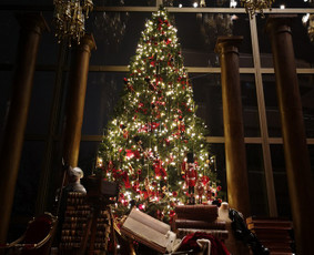 Kalėdinė fotosesija - Fotografė ten kur Jūs - 3