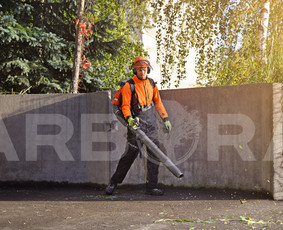 ?Šlavimas rankiniu ir mechanizuotu būdu.
?Šaligatvių ir lauko plytelių (trinkelių) plovimas.
?Sklypų, sodybų, parkų ir kitų teritorijų nuolatinė priežiūra.
?Želdinių priežiūra ir tvarkymas.